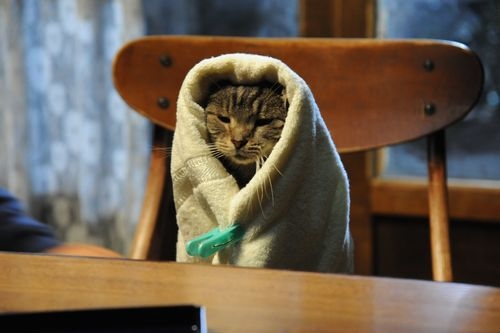 maxresdefault.jpg