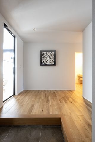 2604204.jpg